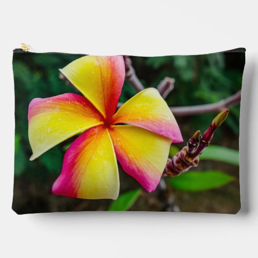 Plumeria rubra etui (Voorkant)
