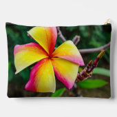 Plumeria rubra etui (Achterkant)