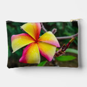 Plumeria rubra etui (Achterkant)