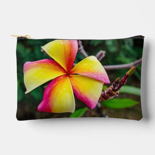 Plumeria rubra etui (Voorkant)
