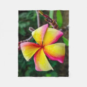 Plumeria rubra fleece deken (Voorkant)