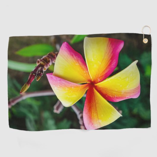 Plumeria rubra golfhanddoek (Horizontaal)