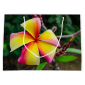 Plumeria rubra groot cadeauzakje (Voorkant)