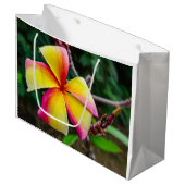Plumeria rubra groot cadeauzakje (Voorkant Gekanteld)