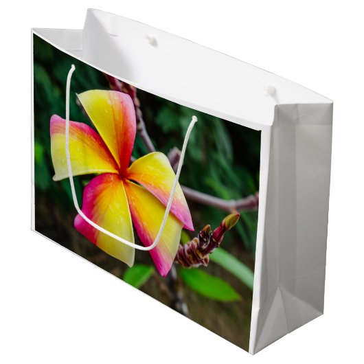 Plumeria rubra groot cadeauzakje (Voorkant Gekanteld)