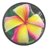 Plumeria rubra hockey puck (Voorkant)