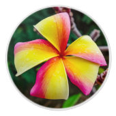 Plumeria rubra keramische knop (Voorkant)