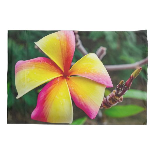 Plumeria rubra kussensloop (Achterkant)