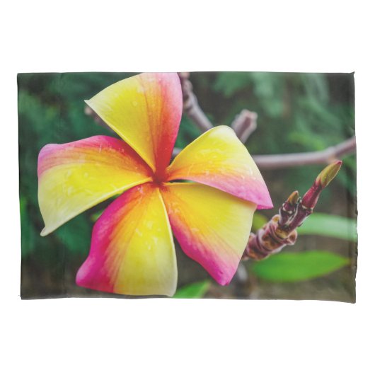 Plumeria rubra kussensloop (Voorkant)