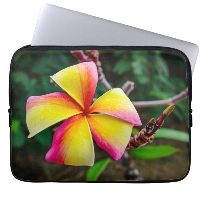 Plumeria rubra laptop sleeve (Voorkant)