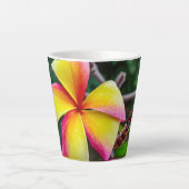 Plumeria rubra latte mok (Voorkant)