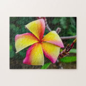 Plumeria rubra legpuzzel (Horizontaal)
