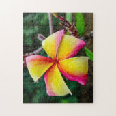 Plumeria rubra legpuzzel (Verticaal)