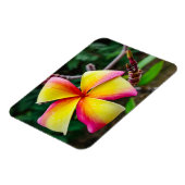 Plumeria rubra magneet (Linkerzijde)