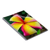 Plumeria rubra notitieboek (Rechterzijde)