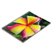 Plumeria rubra notitieboek (Linkerzijde)