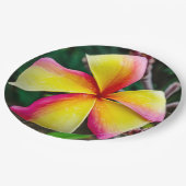 Plumeria rubra papieren bordje (Gekanteld)