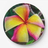 Plumeria rubra papieren bordje (Voorkant)