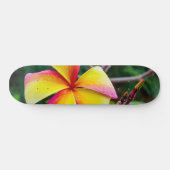 Plumeria rubra persoonlijk skateboard (Horizontaal)