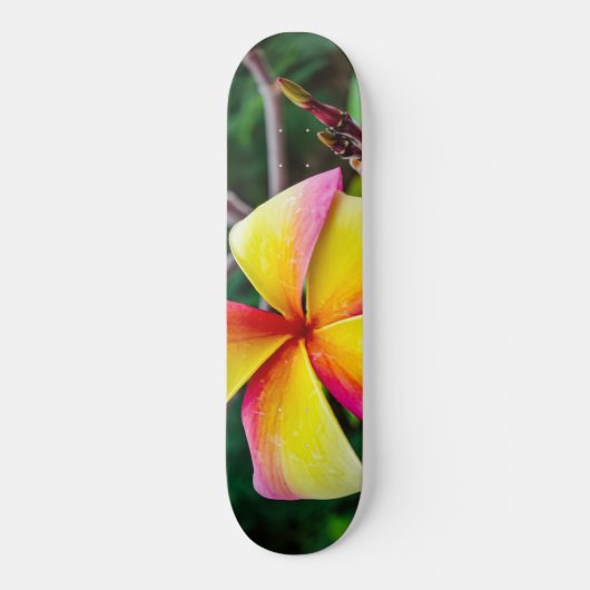 Plumeria rubra persoonlijk skateboard (Voorkant)