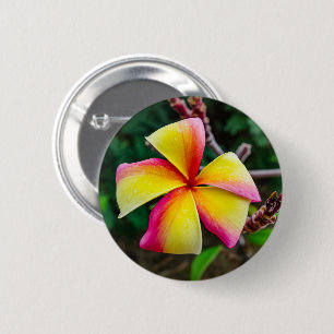 Plumeria rubra ronde button 5,7 cm