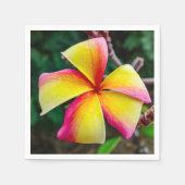 Plumeria rubra servet (Voorkant)