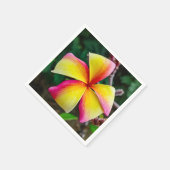 Plumeria rubra servet (Hoek)