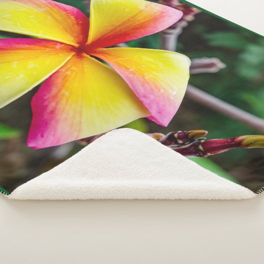 Plumeria rubra sherpa deken (3/4)