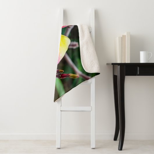 Plumeria rubra sherpa deken (In situ)