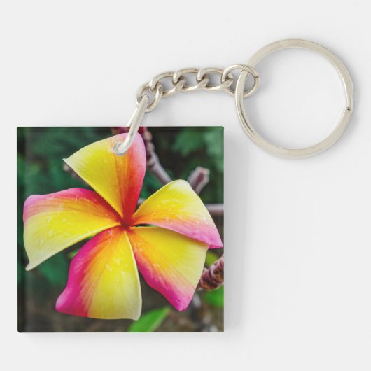 Plumeria rubra sleutelhanger (Achterkant)
