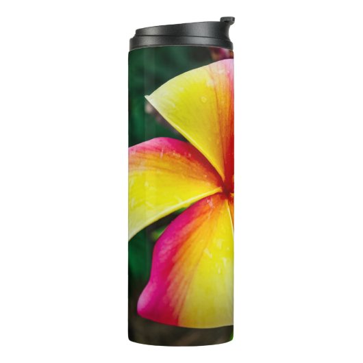 Plumeria rubra thermosbeker (Gedraaid links)