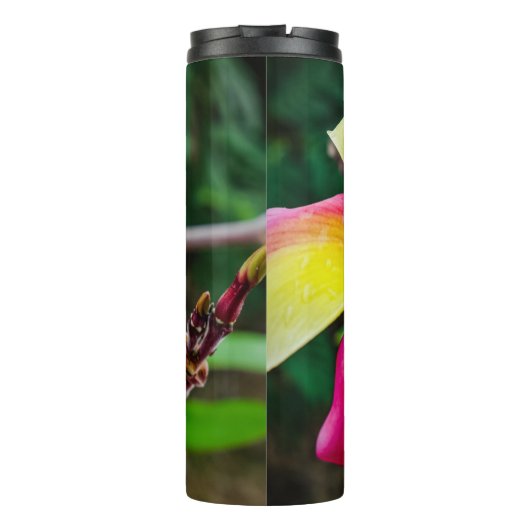 Plumeria rubra thermosbeker (Achterkant)