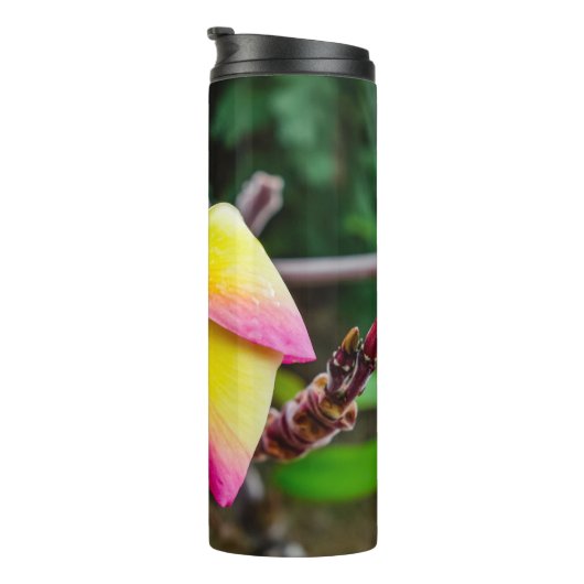 Plumeria rubra thermosbeker (Geroteerd rechts)