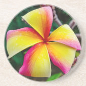 Plumeria rubra zandsteen onderzetter (Voorkant)