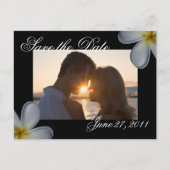 Plumeria Save the Date Briefkaart (Voorkant)