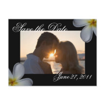 Plumeria Save the Date Briefkaart