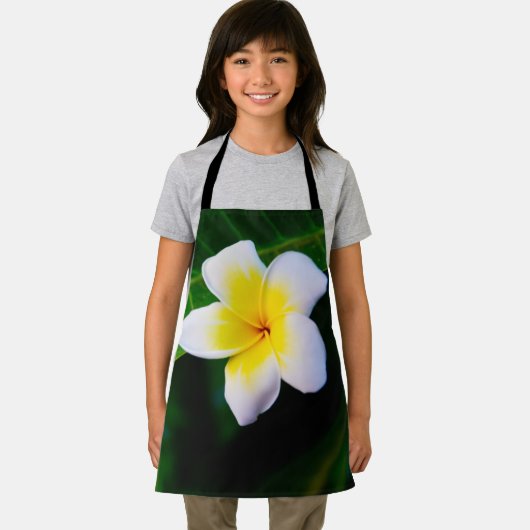 plumeria schort (Insitu)