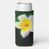 plumeria seltzer blikjeskoeler (Seltzer Achterkant)