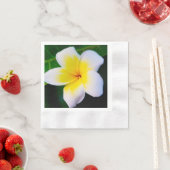 plumeria servet (Insitu)