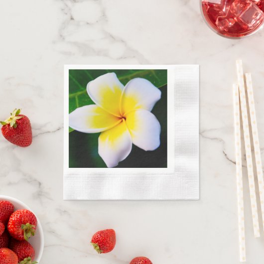 plumeria servet (Insitu)