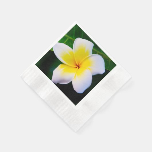 plumeria servet (Hoek)