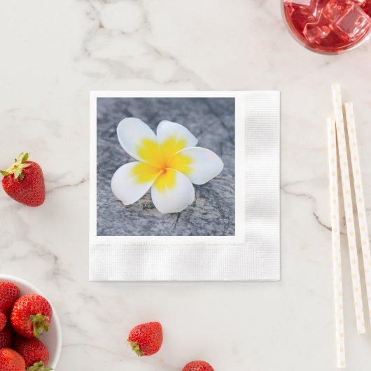 plumeria servet (Insitu)