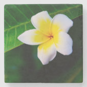 plumeria stenen onderzetter (Voorkant)