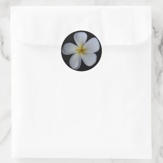 Plumeria Stickers (Tas)