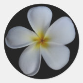 Plumeria Stickers (Voorkant)