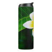Plumeria Thermosbeker (Gedraaid links)