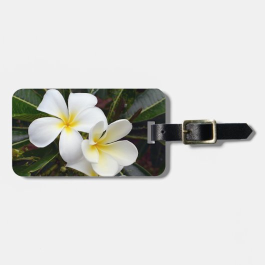 Plumeria Tropical Flowers Bagagelabel (Voorkant horizontaal)