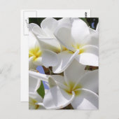 Plumeria Tropical Flowers Briefkaart (Voorkant / Achterkant)