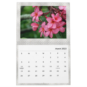 Plumeria Tropical Flowers Foto Kalender