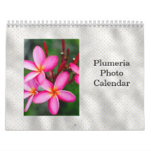 Plumeria Tropical Flowers Foto